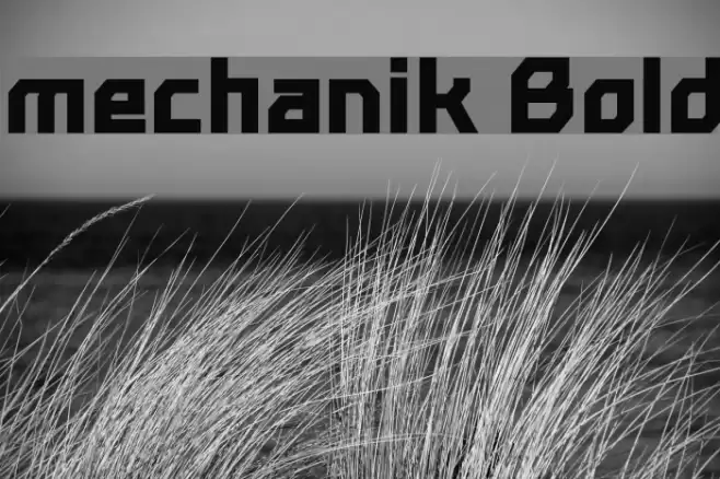 mechanik Bold Font examples