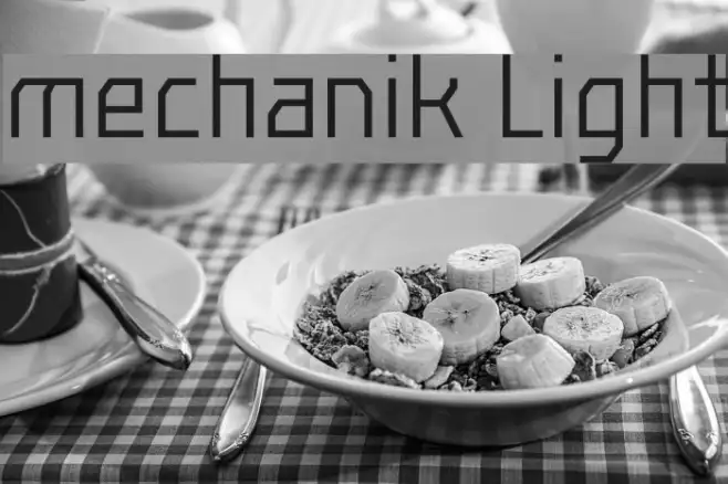 mechanik Light Example 3
