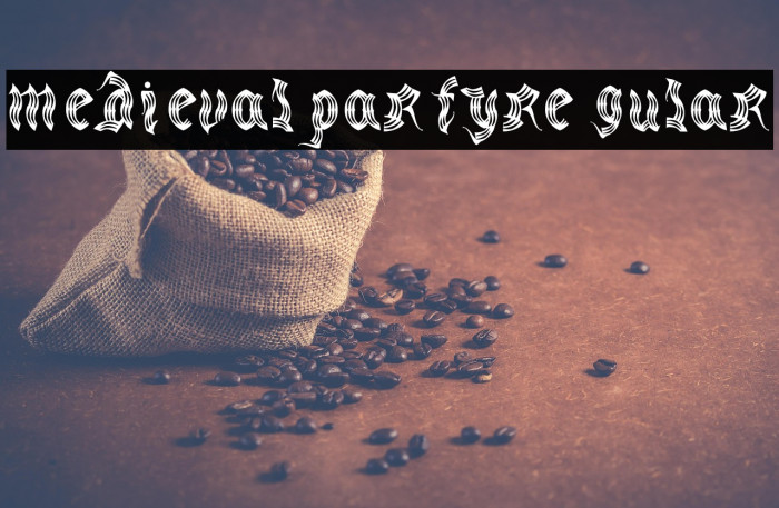 medievalparty-Regular Example 1