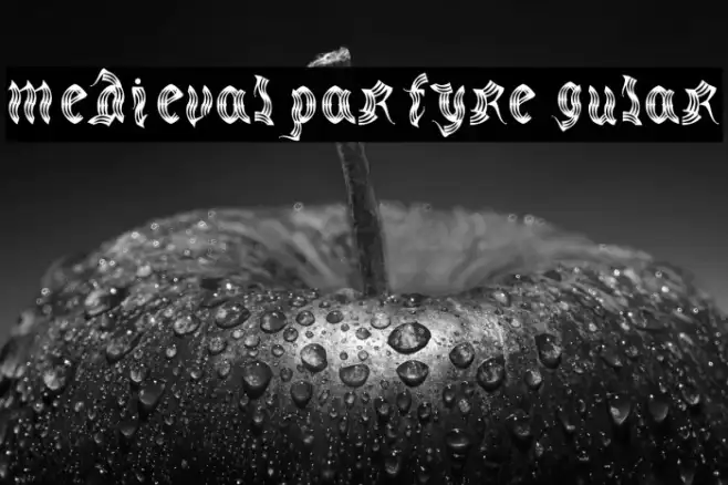 medievalparty-Regular Example 2