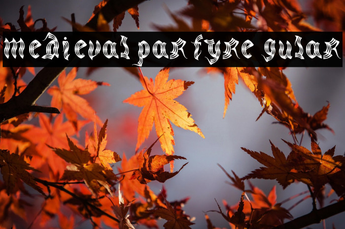 medievalparty-Regular Example 3