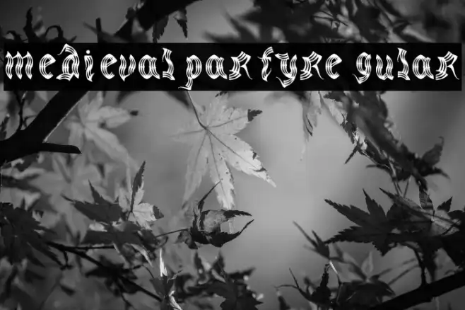 medievalparty-Regular Example 3