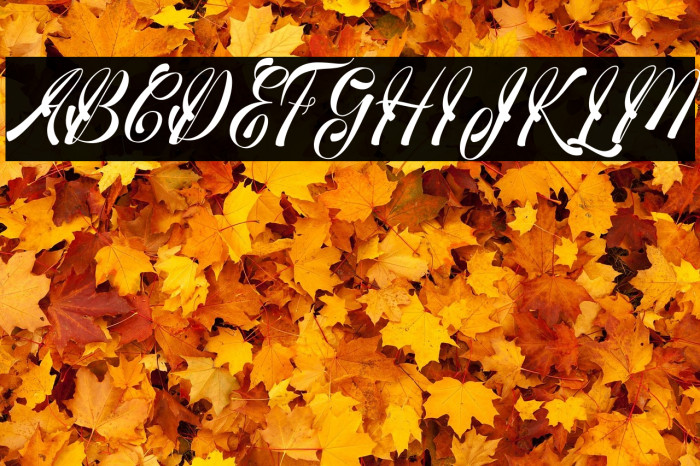 medinascript Example 1