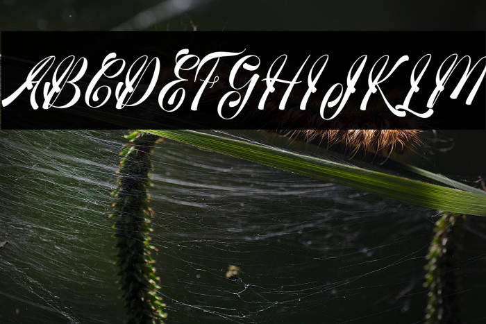 medinascript Example 2