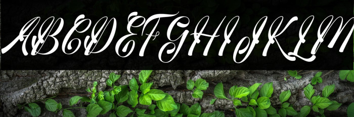 medinascript Example 3