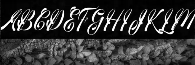 medinascript Font examples