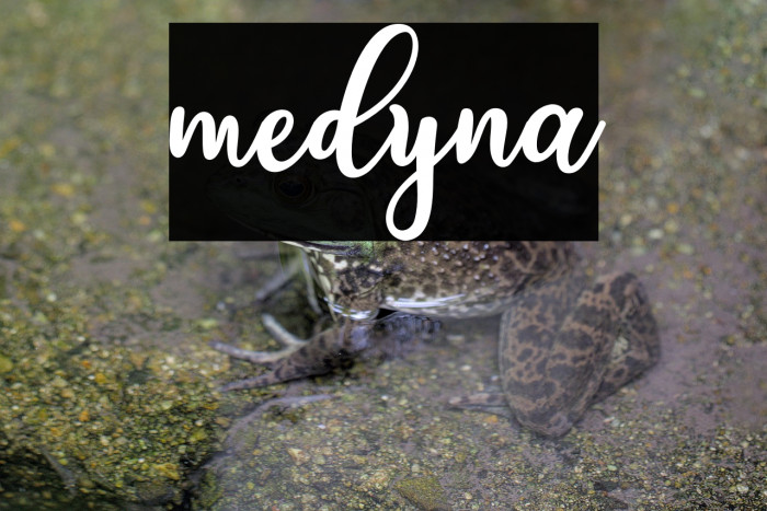 medyna Example 1