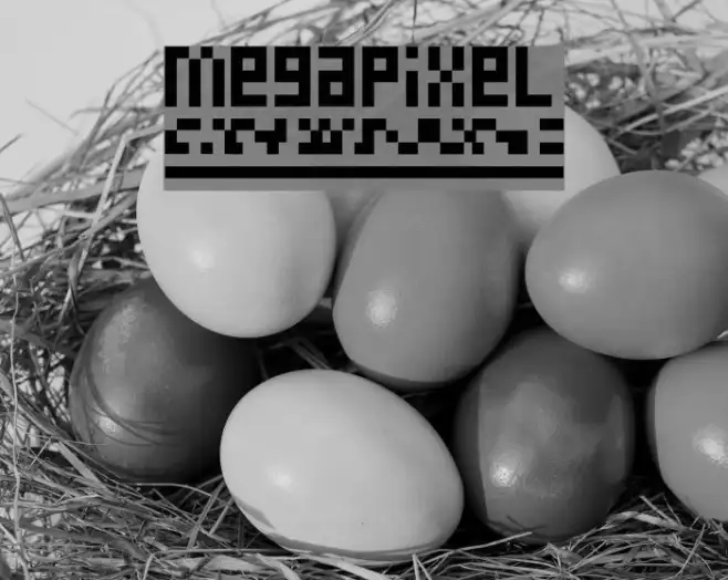 megapixel Example 1