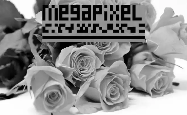 megapixel Example 3