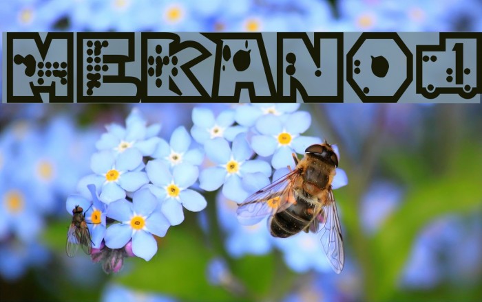 mekano1 Font examples