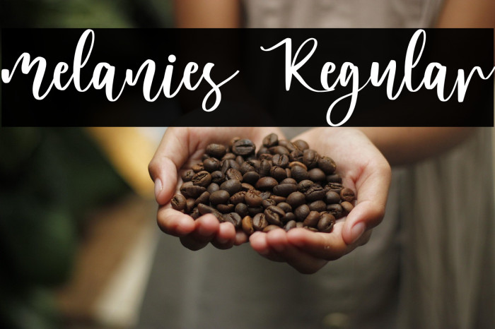 melanies Regular Example 2