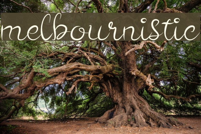 melbournistic Font examples
