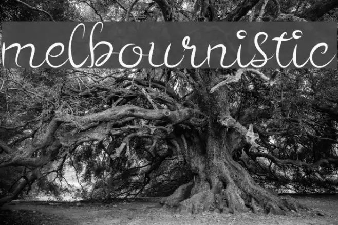 melbournistic Example 2