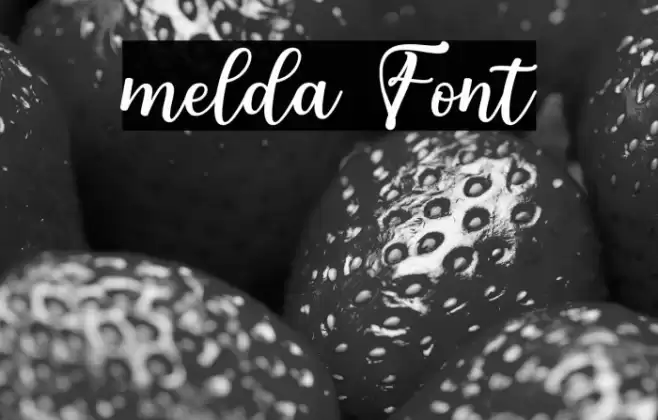 melda Font examples