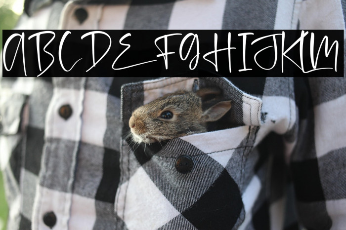 melinda daily Example 1