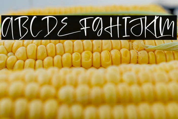 melinda daily Example 2