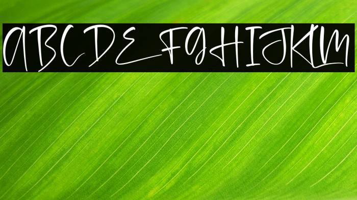 melinda daily Example 3