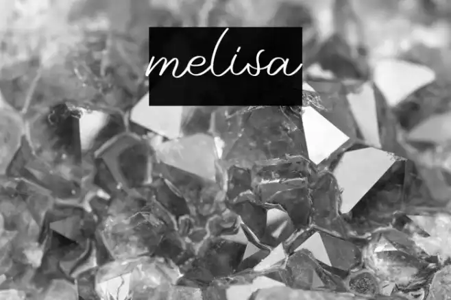 melisa Example 1