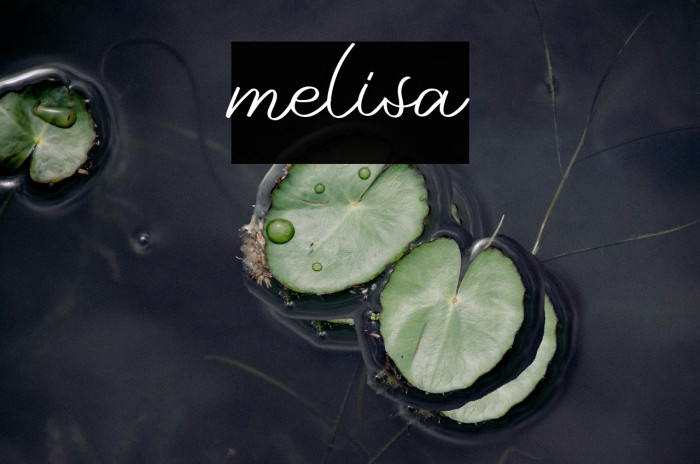 melisa Example 2