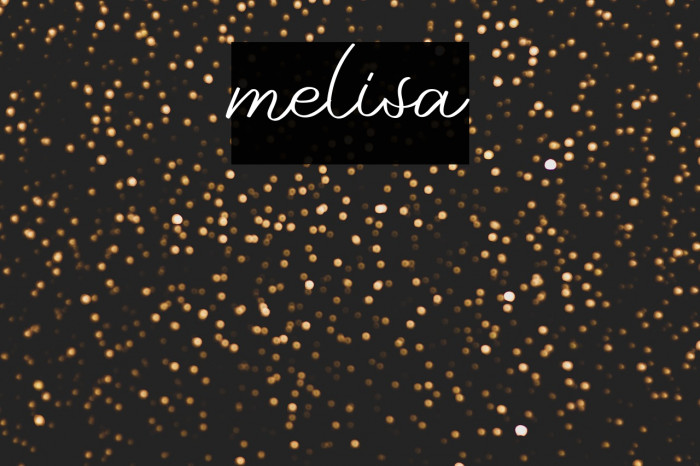 melisa Example 3