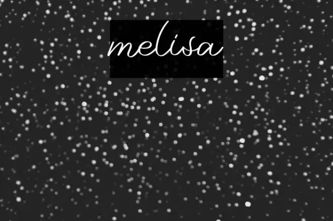 melisa Example 3