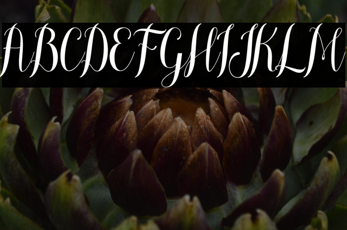 meliscademo Example 2