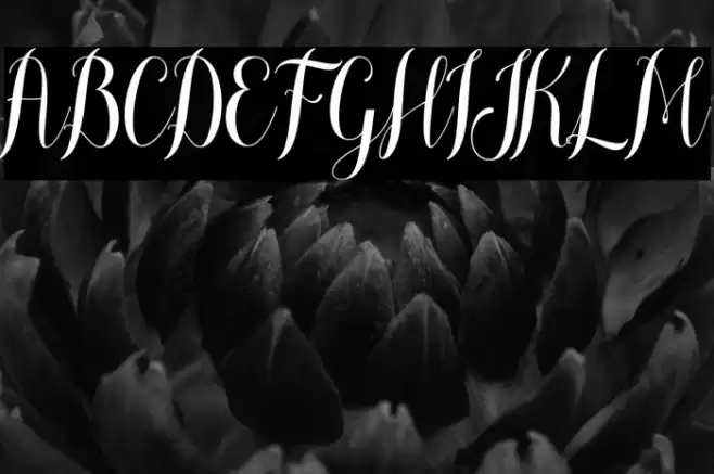 meliscademo Font examples