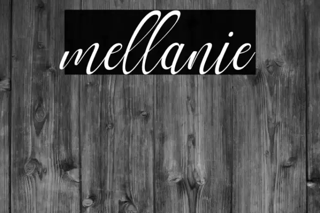 mellanie Example 3