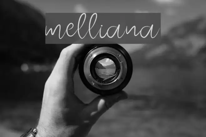 melliana Example 2