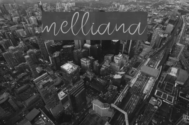 melliana Example 3