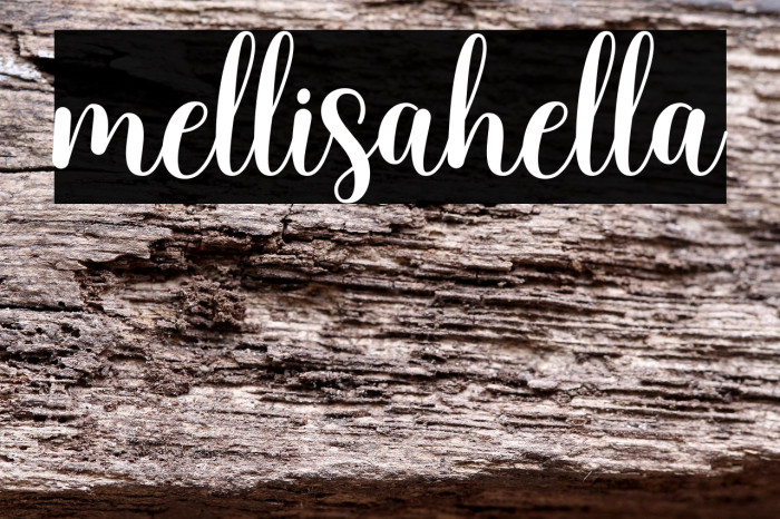 mellisahella Example 1