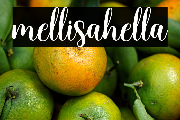 mellisahella Example 2