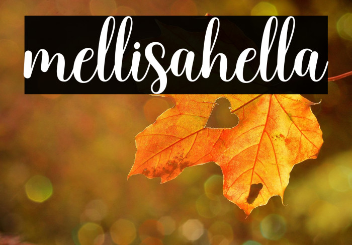 mellisahella Example 3