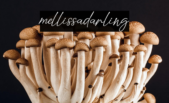 mellissadarling Example 1