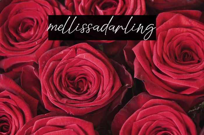 mellissadarling Example 2