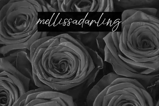 mellissadarling Example 2