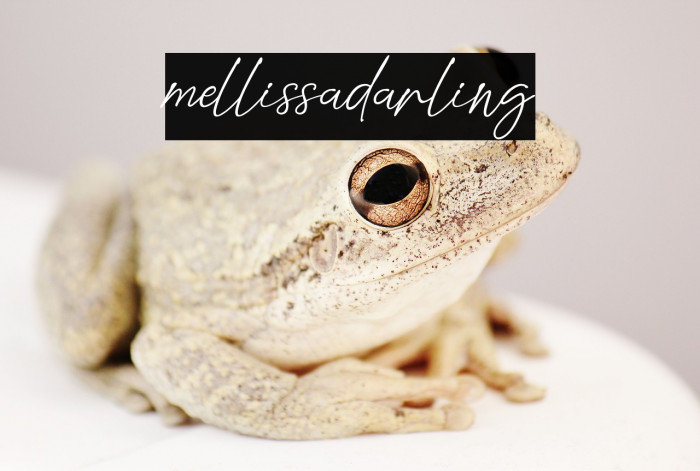 mellissadarling Example 3