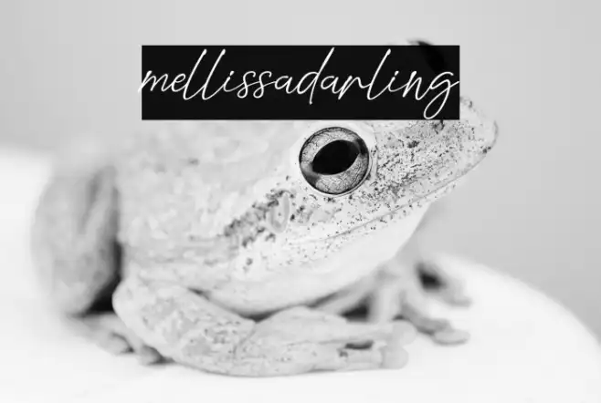 mellissadarling Example 3