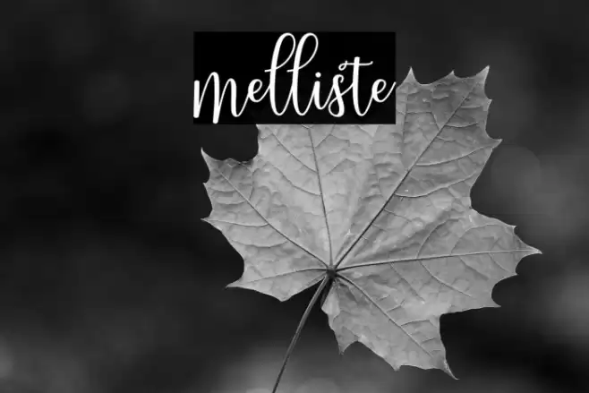 melliste Font examples