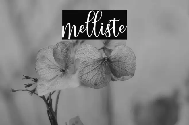 melliste Font examples