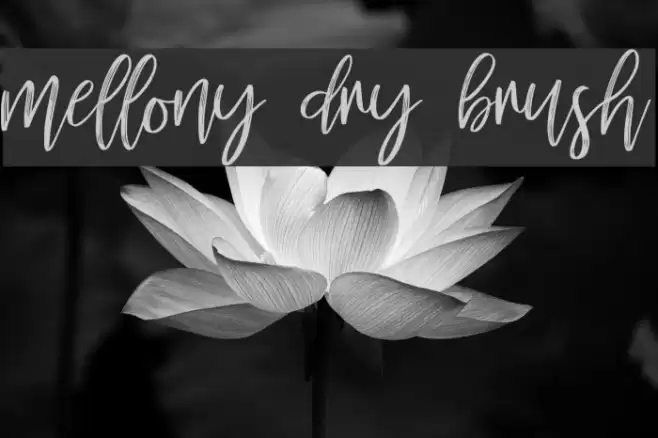 mellony dry brush Font examples