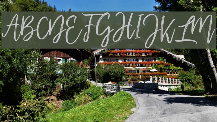 mellonydrybrush Example 2