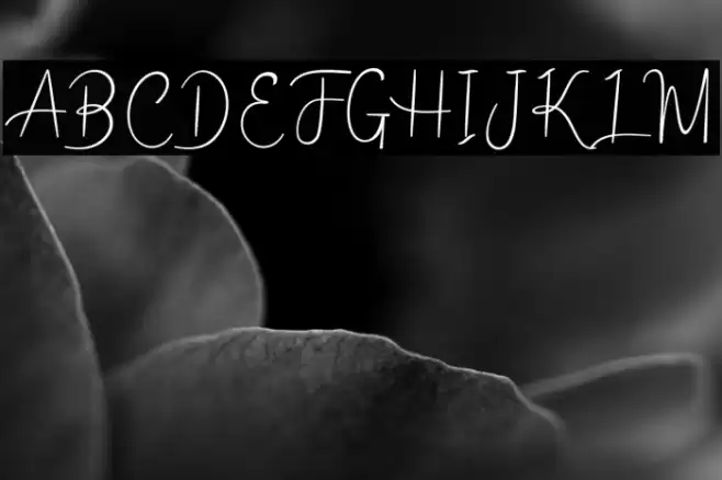 melodie Font examples