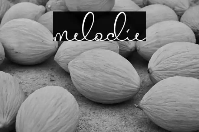 melodie Font examples