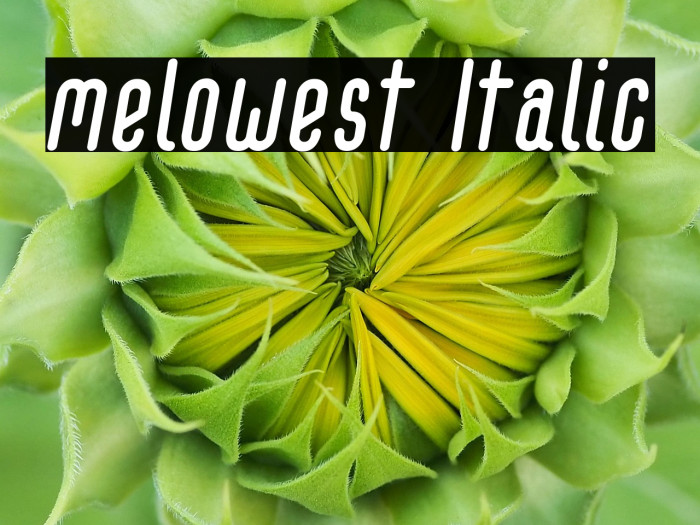 melowest Italic Example 3