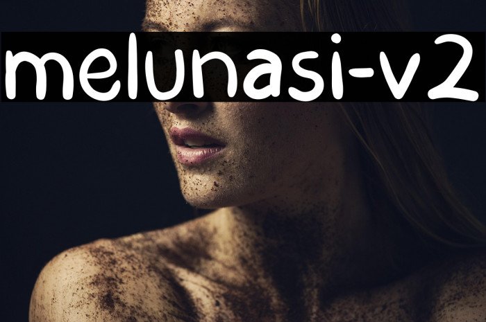 melunasi-v2 Example 1
