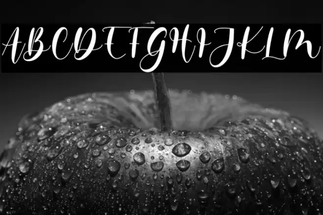 memorita Font examples