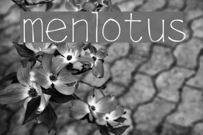 menlotus Font examples