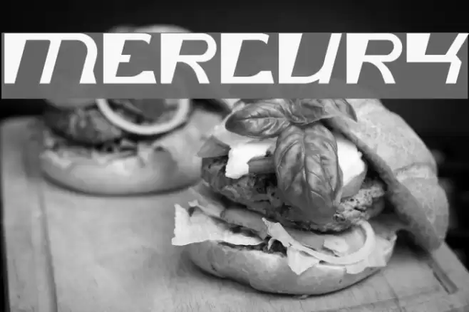 mercury Font examples