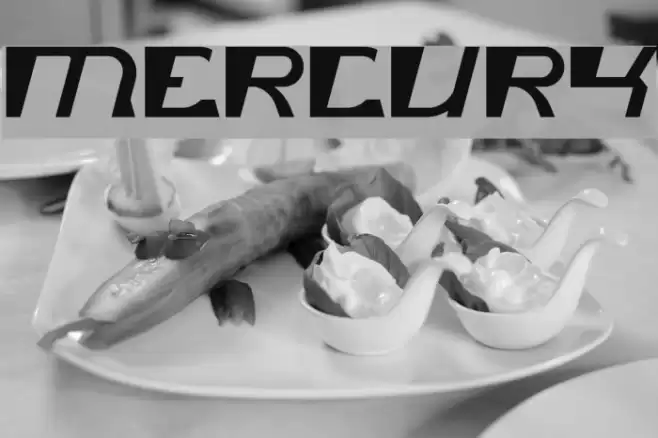 mercury Font examples
